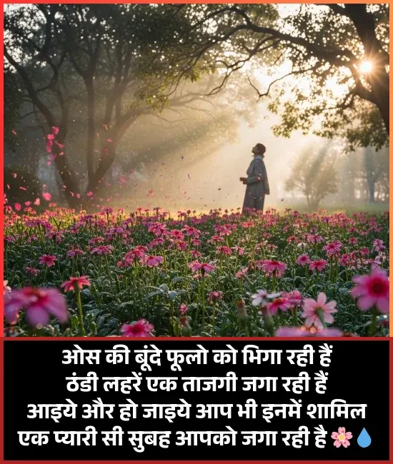 Good Morning Shayari Good Morning Shayari